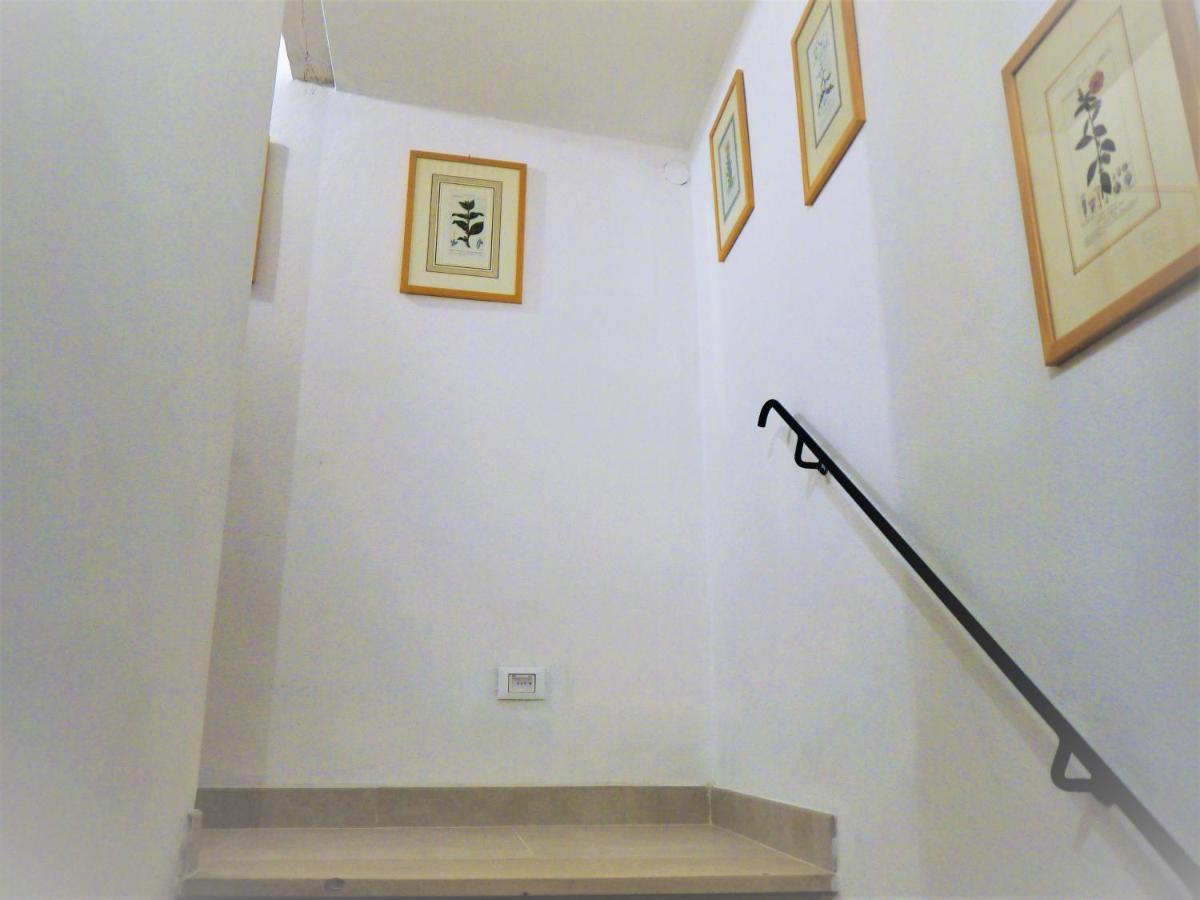 Casa Marzia Apartment Montevarchi Exterior photo